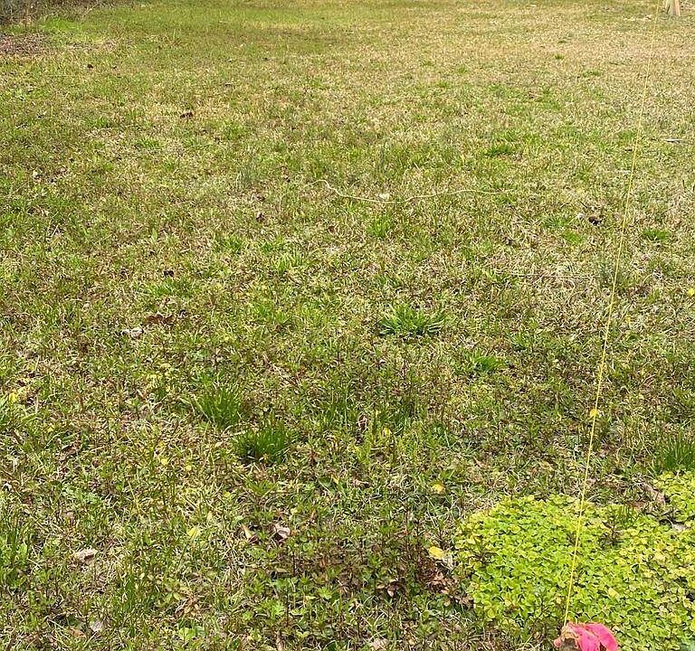 2nd image of 114 Magnolia St