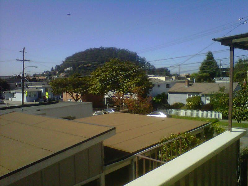 View of Albany Hill from you Doorstep