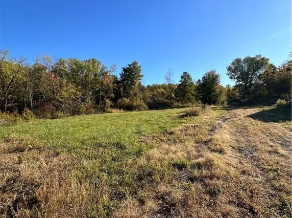 7247 Clay St, Thompson, OH 44086