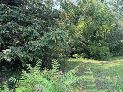 419 Gilmer Ave NW Lot 11, Roanoke, VA, 24016