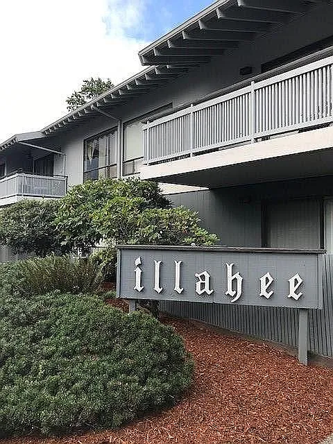 Illahee
