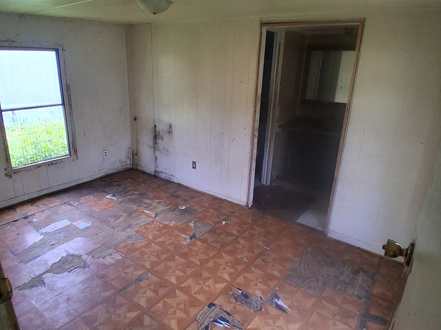3 bed, 700 sqft, $590 — Photo 2