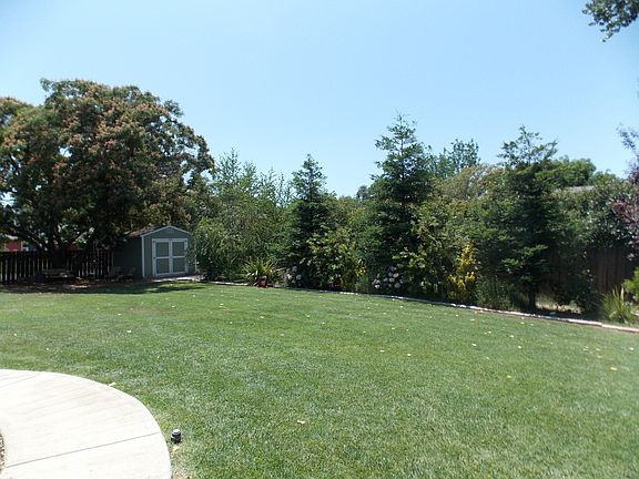 Backyard corner w/ NEW shed