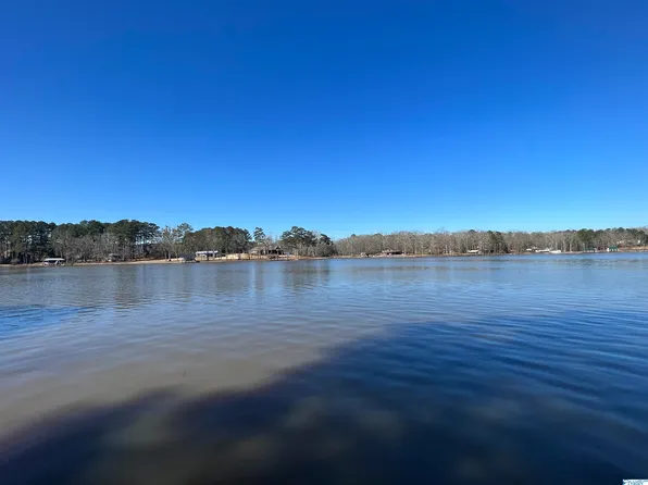 450 Big Nose Dr, Centre, AL 35960