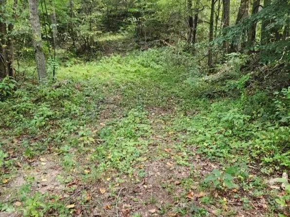 Perry Smith Ln, Caryville, TN 37714