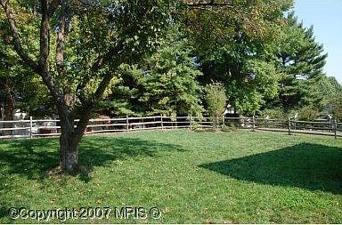 Fenced in back yard, great for pets and children.