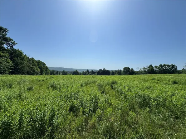 Wilbur Hill Rd Lot 49, Unadilla, NY 13849