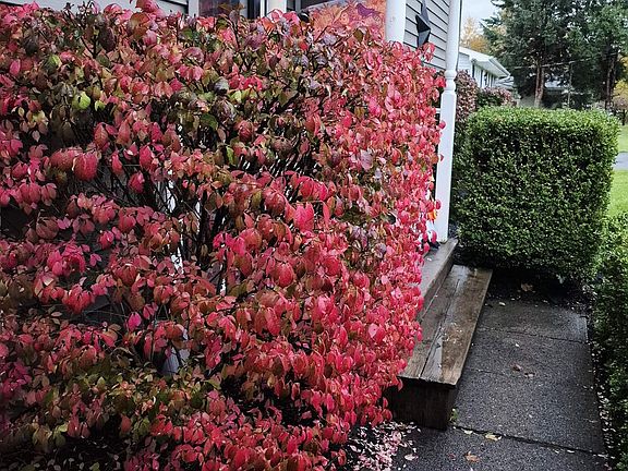2nd image of 15 Sillery Dr