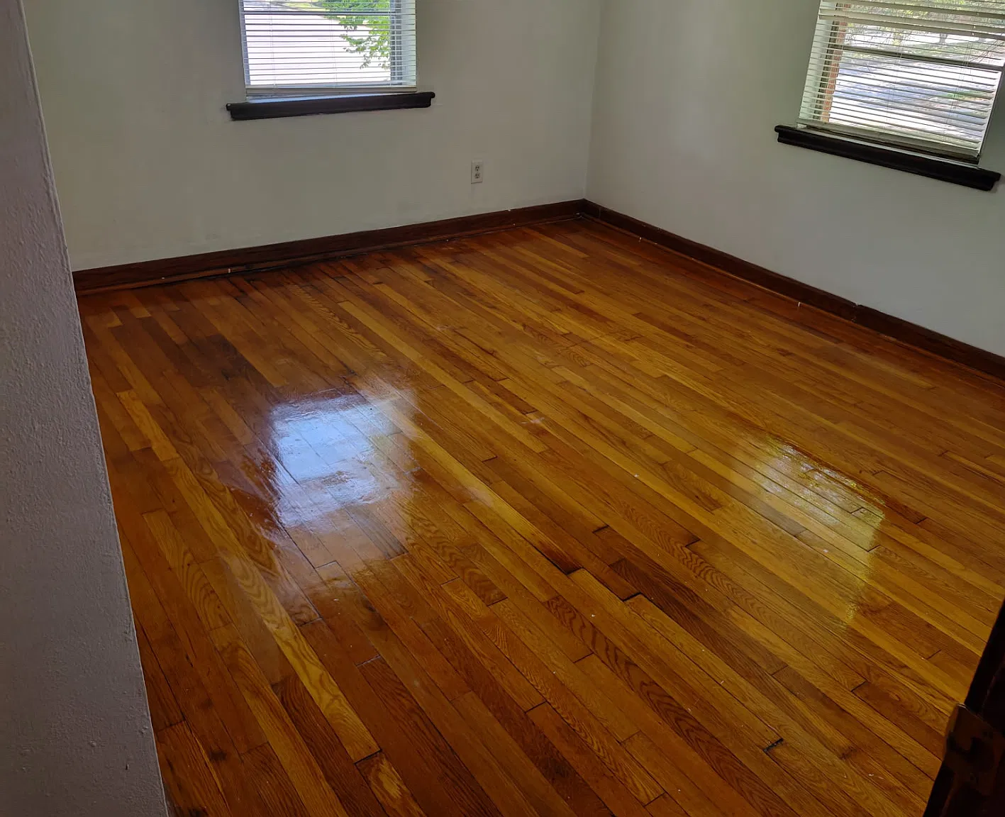 1 bed, 450 sqft, $795 — Photo 4