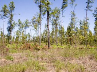 26 Pollett Rd TRACT 26, Bartow, GA 30413