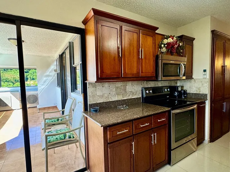 401 Cond El Castillo — Photo 7