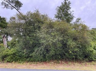 SW 165th Pl Lot 1, Ocala, FL 34473