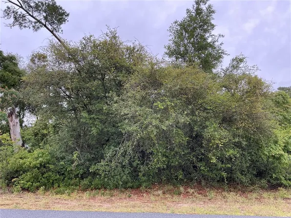 SW 165th Pl Lot 1, Ocala, FL 34473