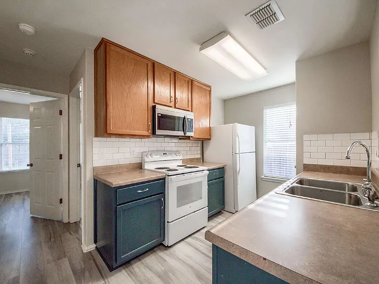 11014 Buckskin Bnd — Photo 8