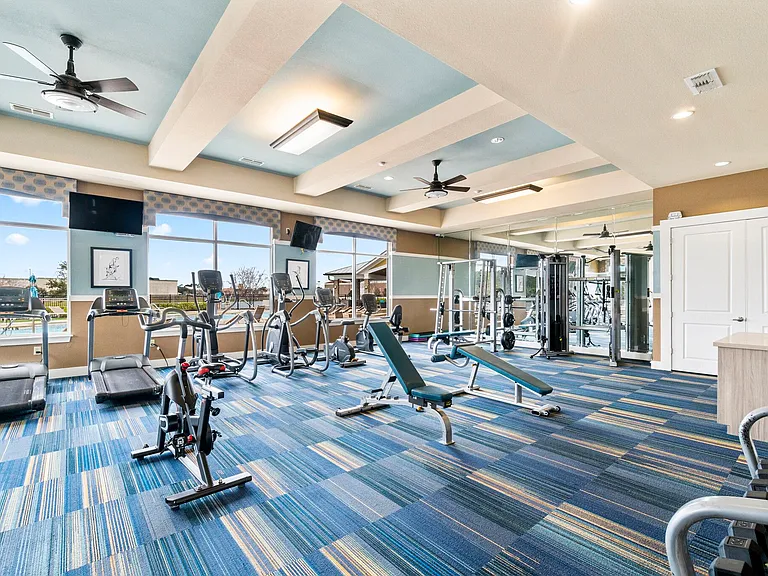 Gym & Cardio Equipment