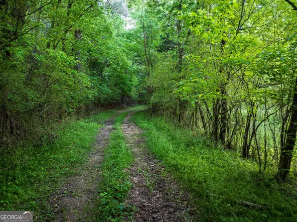 0 Pine Hill Rd SE, Rydal, GA 30171