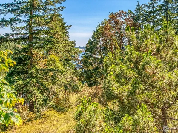 239 Killebrew Lake Road, Orcas Island, WA 98280