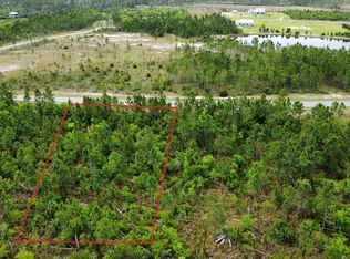 103 Torrey Pine Trl, Wewahitchka, FL 32465