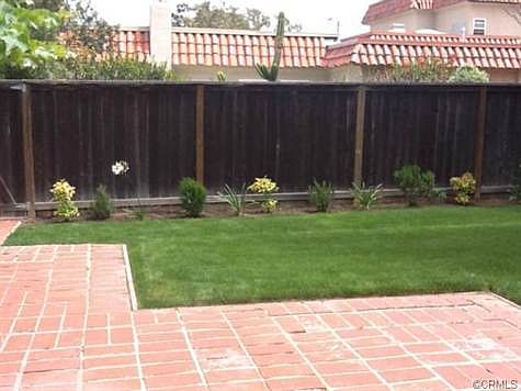 Large and cheerful back yard.