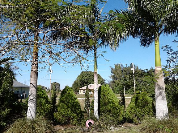 5th image of 2809 NW 4th St