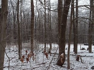 0 Blue Knob Rd, Portage, PA 15946