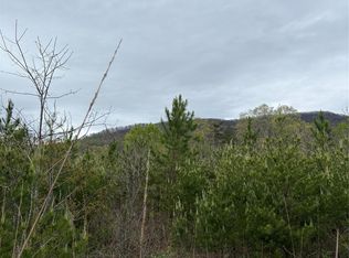 0 Rose Hollow Dr TRACT 1, Mill Spring, NC 28756