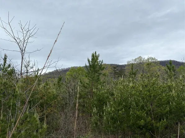 0 Rose Hollow Dr Tract 1, Mill Spring, NC 28756