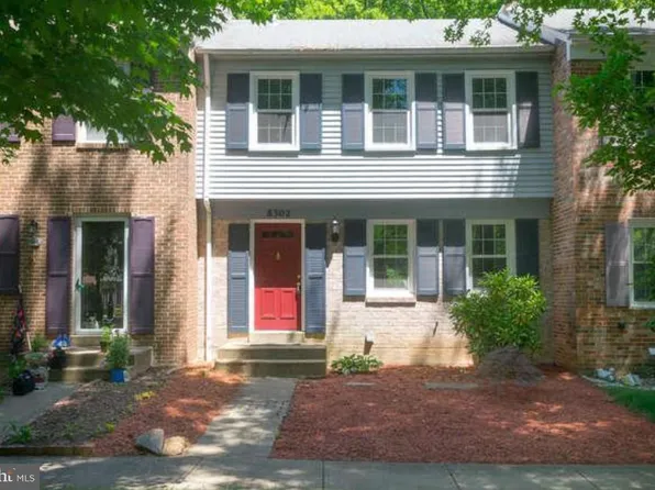 8302 Moline Pl, Springfield, VA 22153