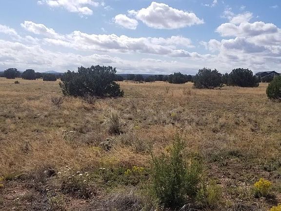 5th image of 7697 Arroyo Plata Dr