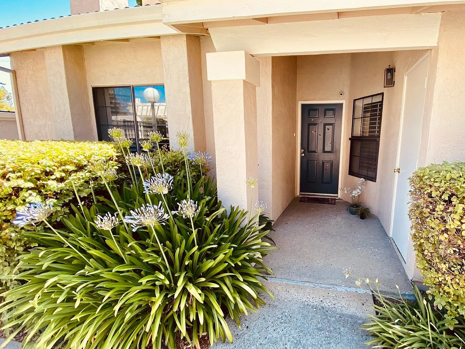 691 Palomino Dr — Photo 2