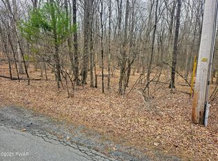 46 Hawks Nest Dr, Hawley, PA