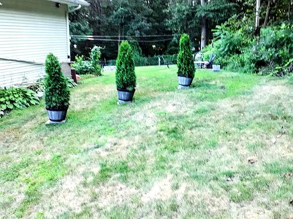 Side Yard - Right of apartment complex