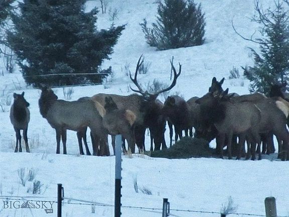 3rd image of 900 Flint Creek Rd