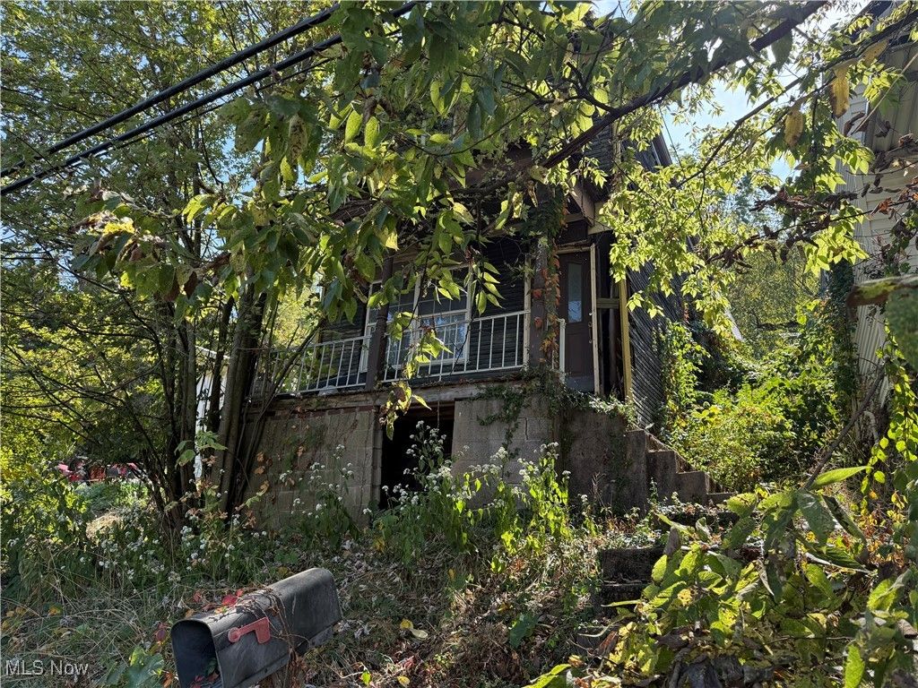 822 W Bennett St, Bridgeport, OH - View 4