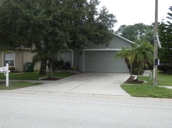 30607 Birdhouse Dr, Wesley Chapel, FL 33545