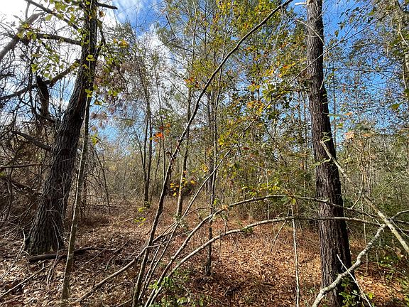 4th image of Adolph Kemp Rd