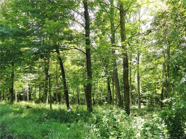 0 Martha Street, Torrington, CT 06790