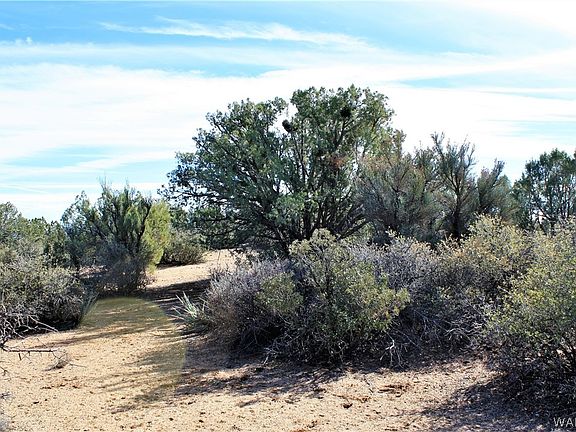 2nd image of 0000 Cedar Oasis Lane