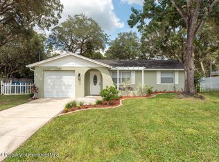 126 Rosedale Ave, Spring Hill, FL 34606