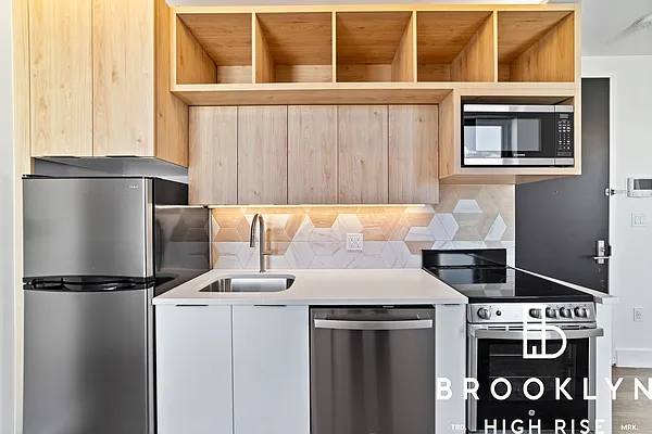 Rented by Brooklyn High Rise LLC | media 3