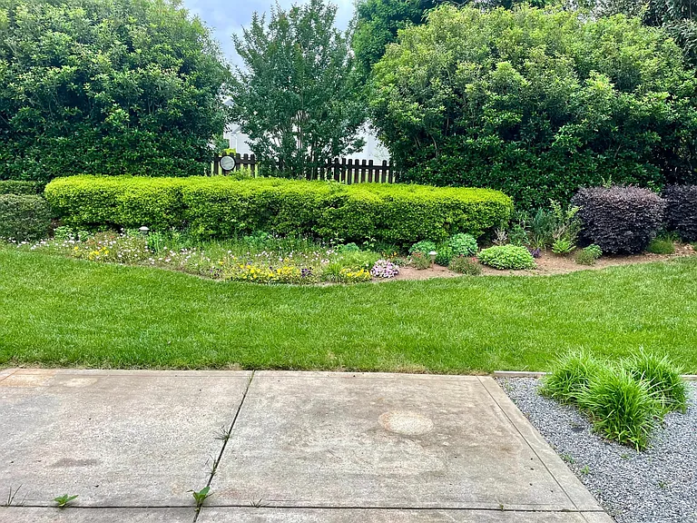 Serene and private back yard.