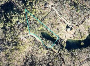 49 White Pine Rdg, Ellijay, GA 30540