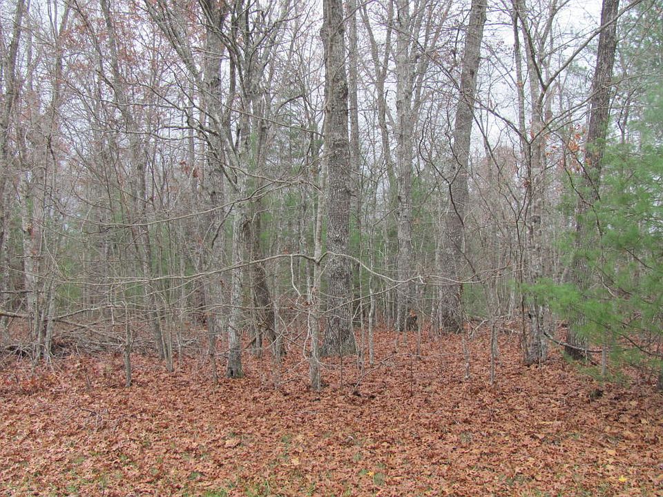 1st image of 135 Springdale Dr