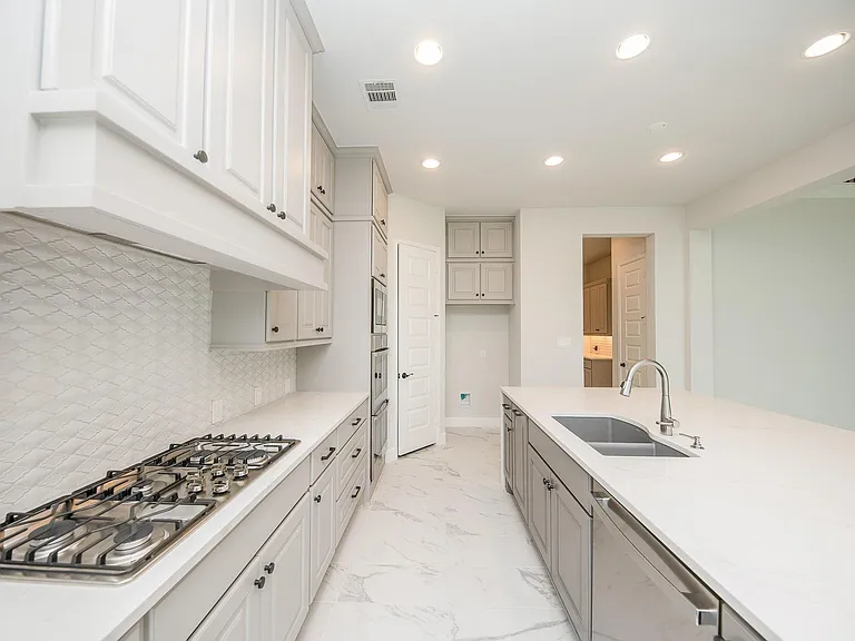 21515 Blue Porterweed Trl — Photo 10