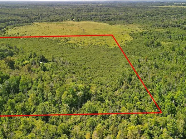 8585 Clareola Ave, Lake, MI 48632