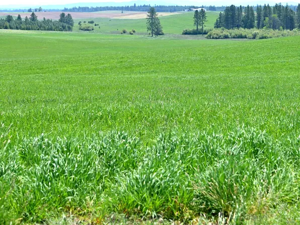 Stuart Rd, Orofino, ID 83544