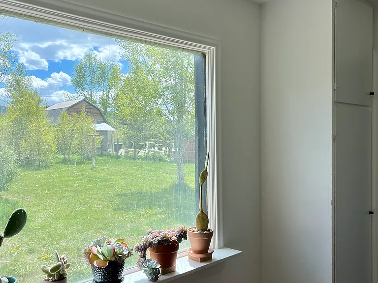 View from mudroom