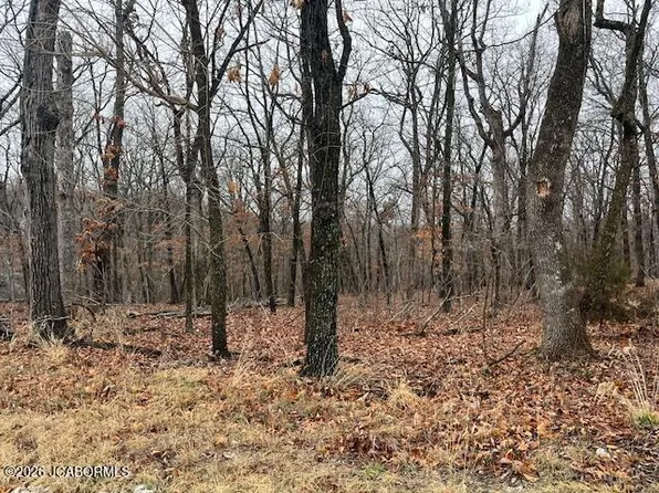 Bluewater Ct, Lake Ozark, MO 65049