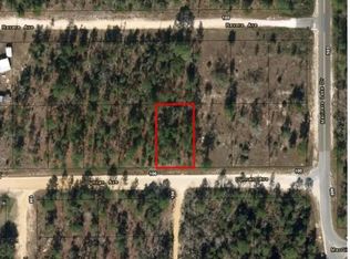Duncan Ave LOT 20, Interlachen, FL 32148