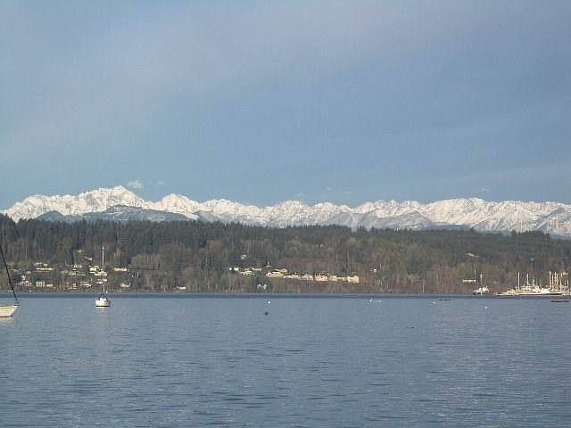 view from house